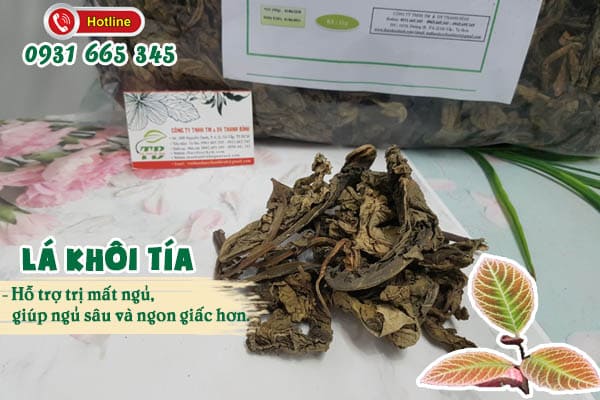 Lá khôi tía Thảo Dược Thanh Bình