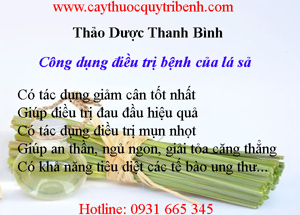 mua-la-sa-o-dau-tai-tp-hcm-uy-tin-nhat