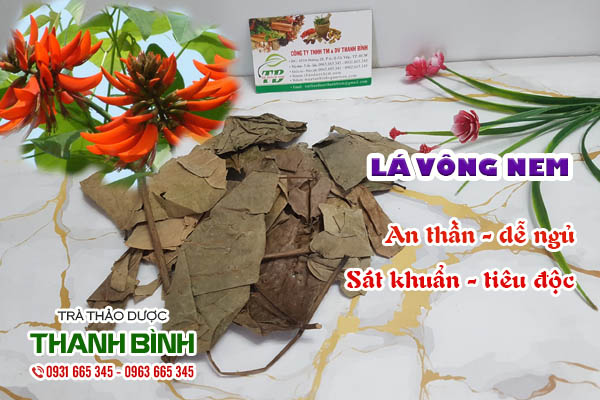Lá vông nem Thảo dược Thanh Bình