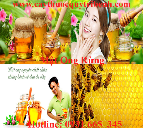mật ong rừng