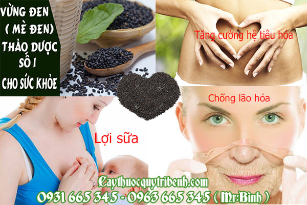 mè đen vừng đen