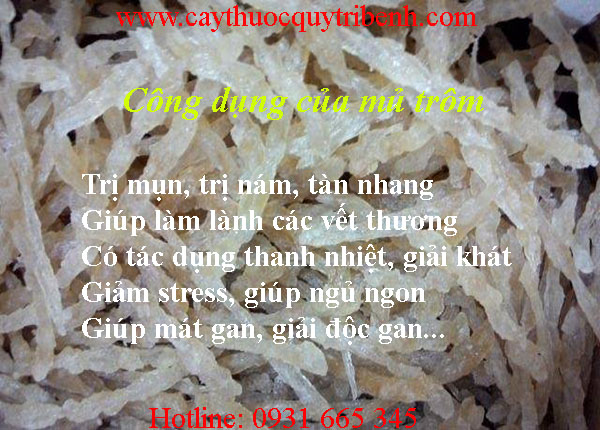mủ trôm