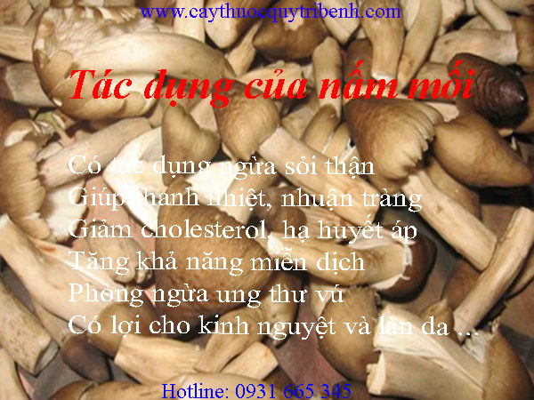 mua-nam-moi-o-dau-tai-tp-hcm-uy-tin-nhat