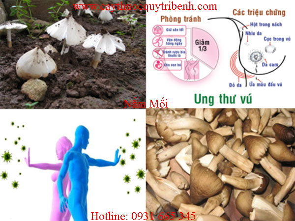 mua-nam-moi-o-dau-tai-tp-hcm