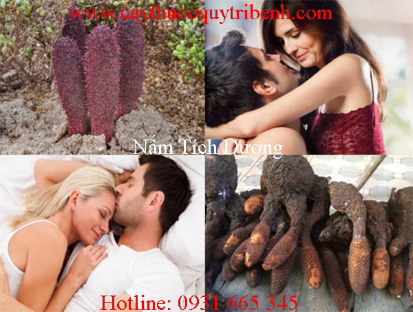 mua-nam-tich-duong-o-dau-tai-tp-hcm