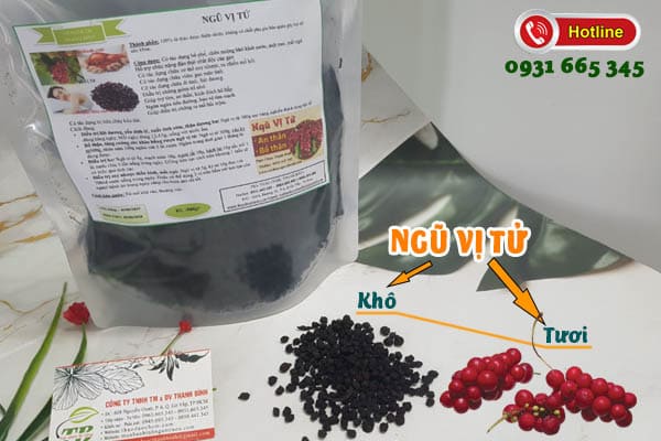 ngũ vị tử thảo dược thanh bình