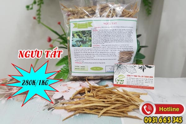ngưu tất Thảo Dược Thanh Bình