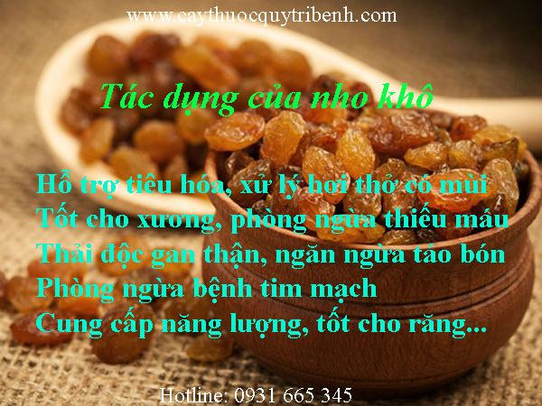 mua-nho-kho-o-dau-tai-tp-hcm-uy-tin