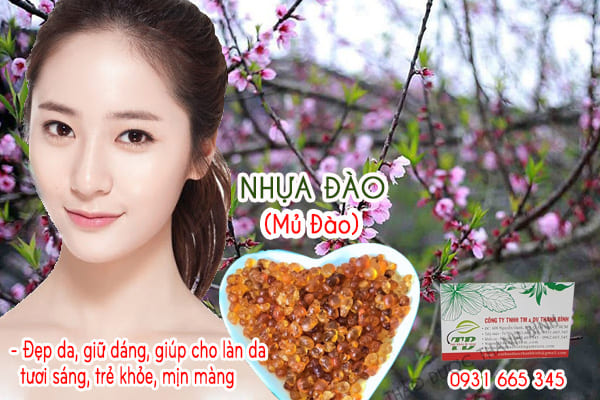 nhựa đào (mủ đào) Thảo Dược Thanh Bình
