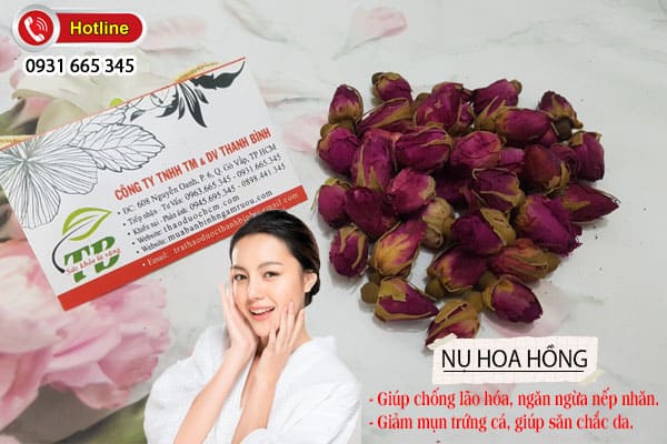 nụ hoa hồng Thảo Dược Thanh Bình
