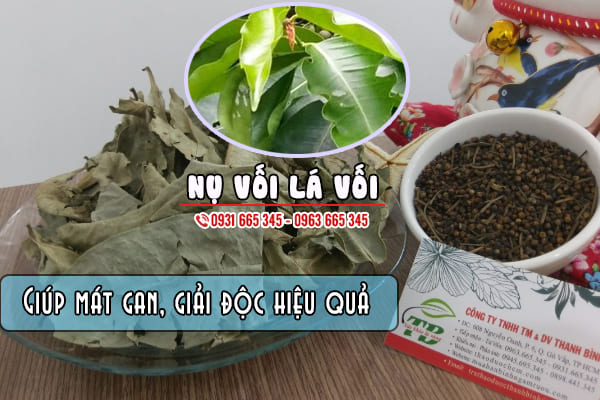 nụ vối lá vối thảo dược thanh bình