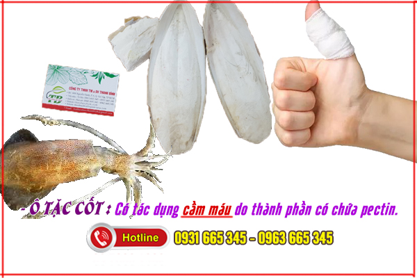 ô tặc cốt thảo dược thanh bình