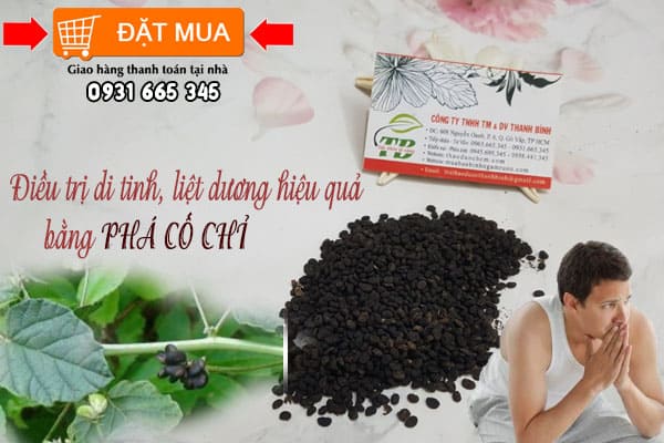 phá cố chỉ Thảo Dược Thanh Bình