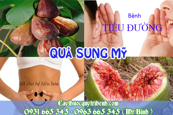 quả sung Mỹ