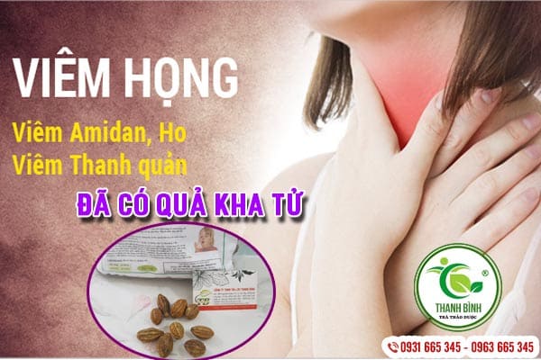 quả kha tử thảo dược thanh bình