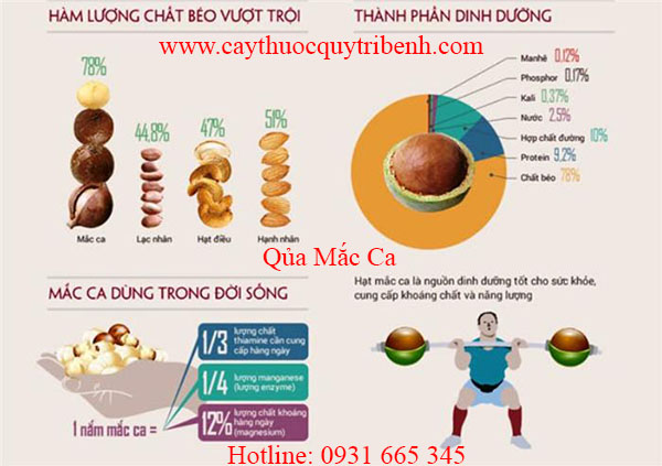 quả mắc ca
