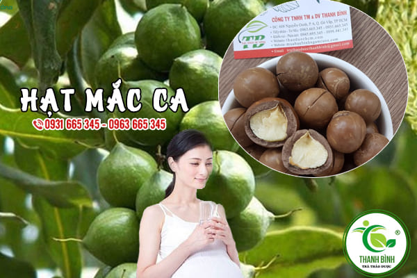 hạt mắc ca thảo dược thanh bình