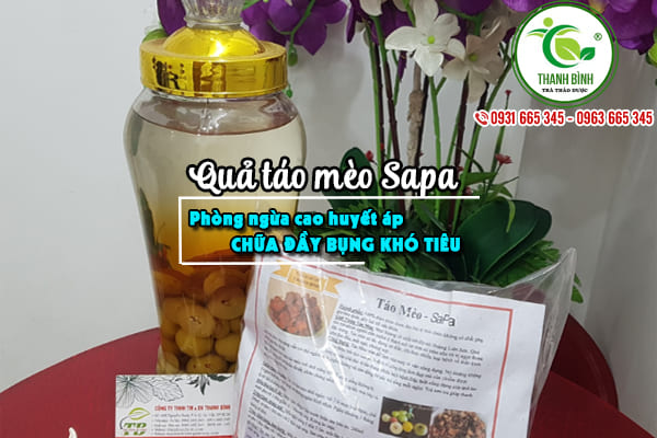 quả táo mèo thảo dược thanh bình