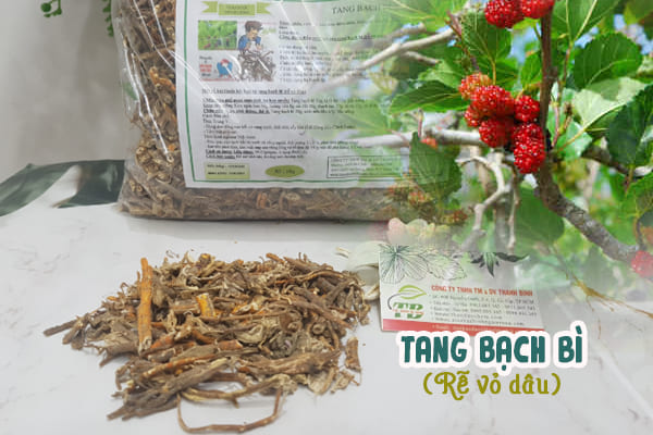 rễ dâu tang bạch bì thảo dược thanh bình