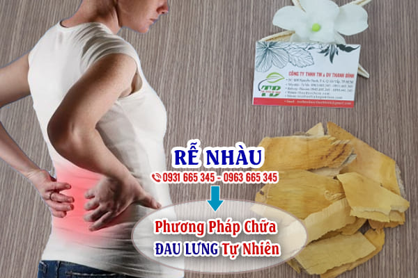 rễ nhàu thảo dược thanh bình