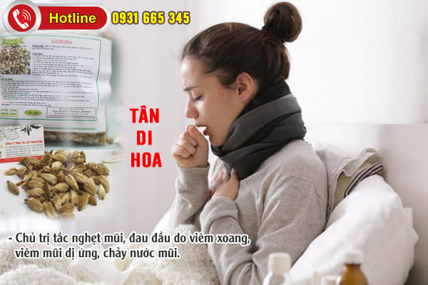 tân di hoa thảo dược thanh bình