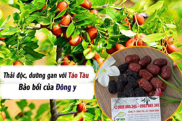 táo tàu thảo dược thanh bình