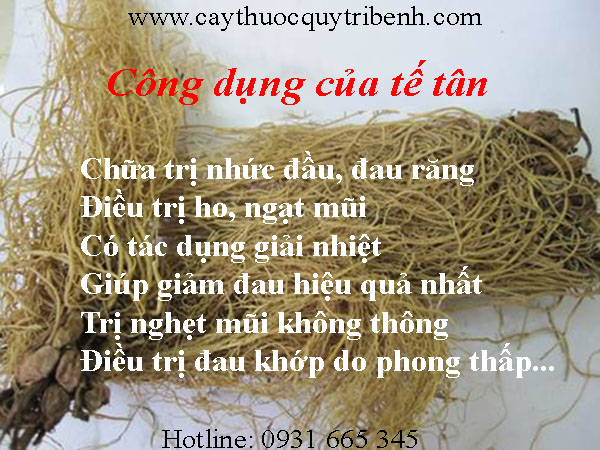 mua-te-tan-o-dau-tai-tp-hcm-uy-tin
