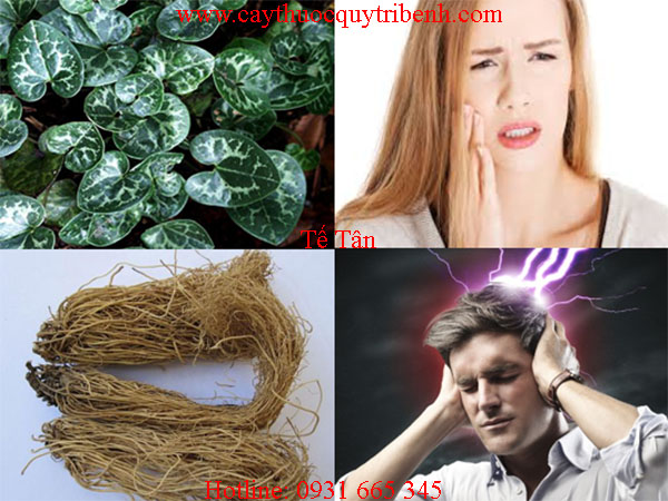 mua-te-tan-o-dau-tai-tp-hcm
