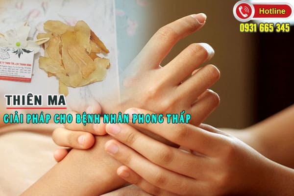 thiên ma thảo dược thanh bình