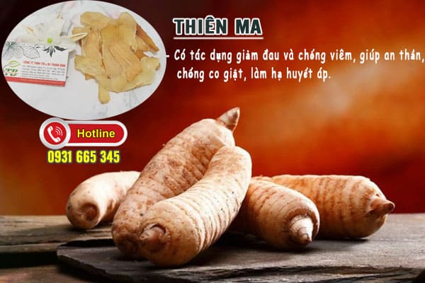 thiên ma thảo dược thanh bình