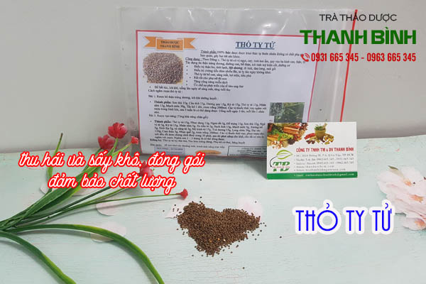 thỏ ty tử thảo dược thanh bình