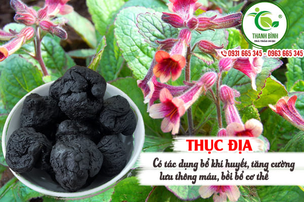 thục địa thảo dược thanh bình