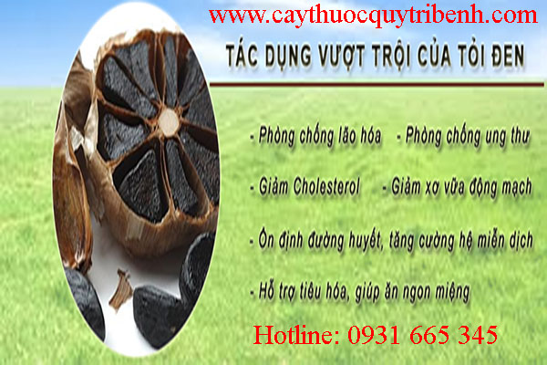mua-toi-den-o-dau-tai-tp-hcm-uy-tin