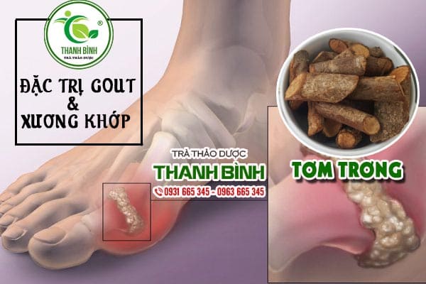 tom trong thao duoc thanh binh