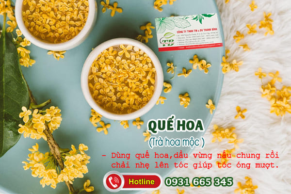 quế hoa (trà hoa mộc) Thảo Dược Thanh Bình