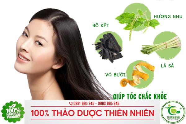 trái bồ kết thảo dược thanh bình