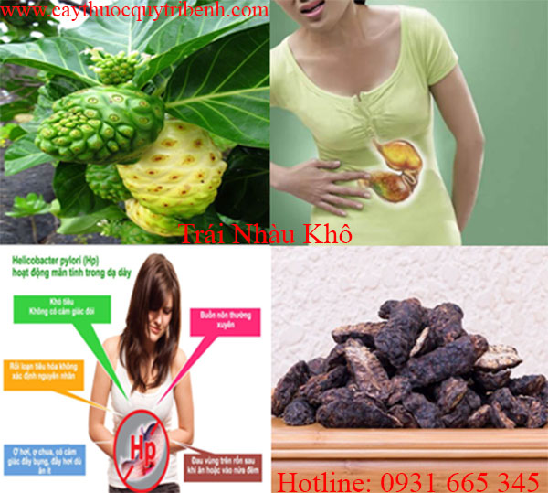 trái nhàu khô