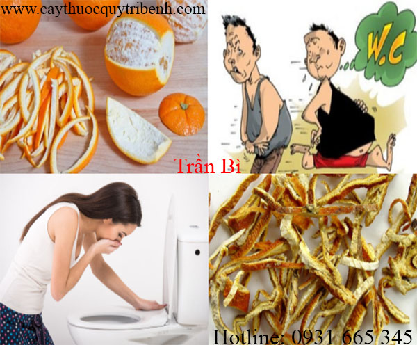 trần bì