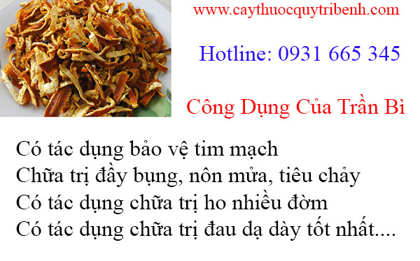 trần bì