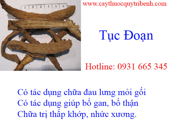 mua-tuc-doan-tai-tp-hcm-uy-tin-nhat