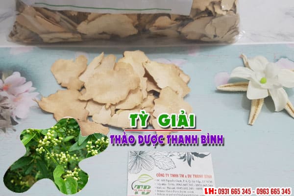 tỳ giải thảo dược thanh bình