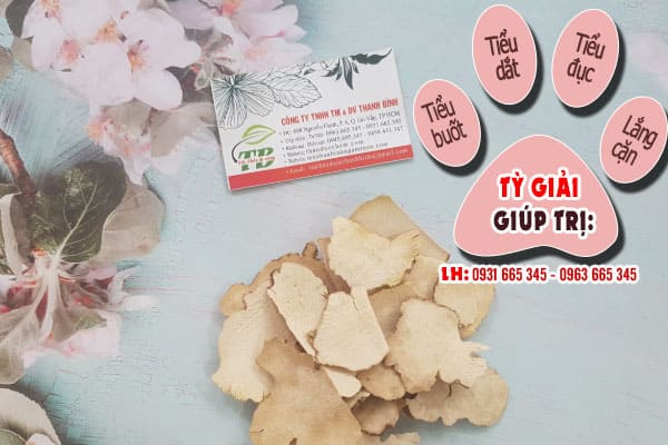 tỳ giải thảo dược thanh bình