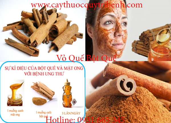 vỏ quế bột quế