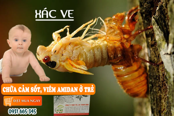 xác ve Thảo Dược Thanh Bình