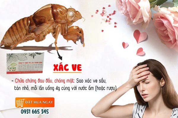 xác ve Thảo Dược Thanh Bình