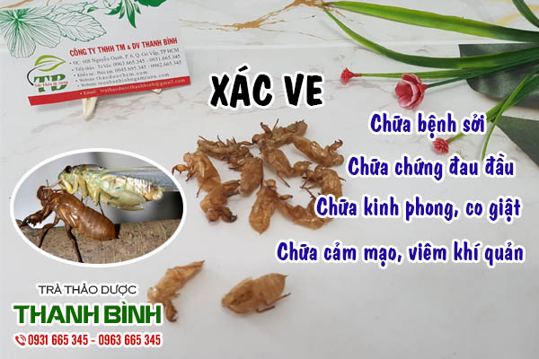 xác ve Thảo Dược Thanh Bình