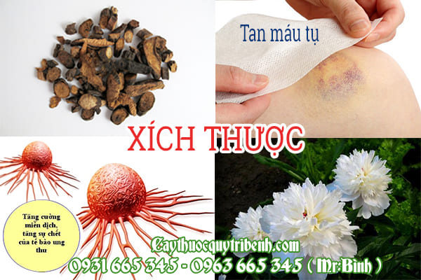 xích thược