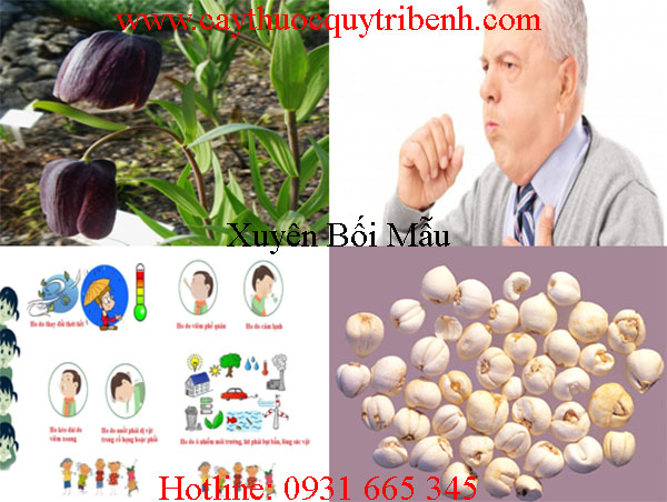 mua-xuyen-boi-mau-o-dau-tai-tp-hcm