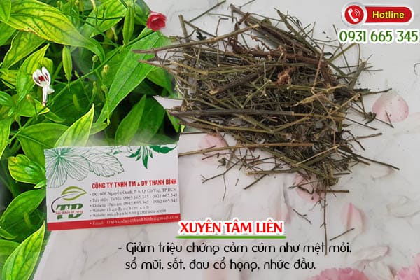 Xuyên tâm liên Thảo Dược Thanh Bình