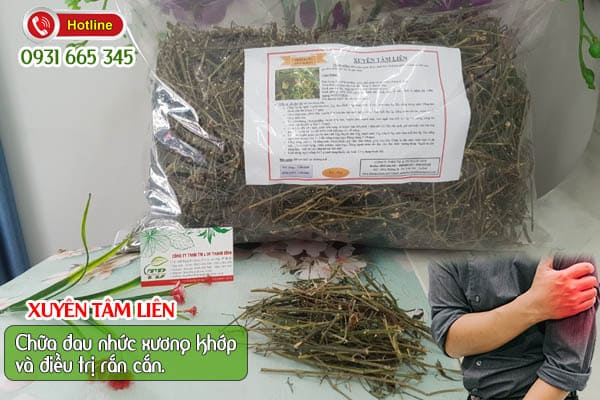 Xuyên tâm liên Thảo Dược Thanh Bình